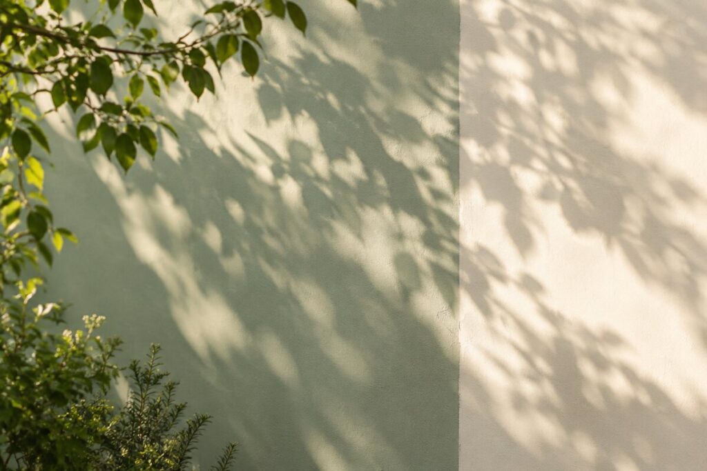 Soft sunlight and leafy shadows on a pale green wall